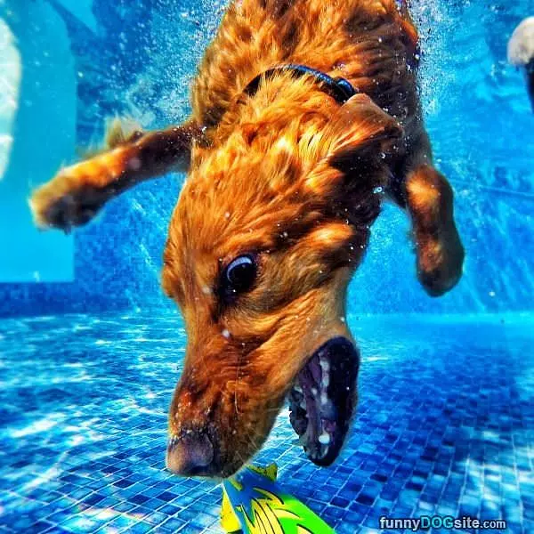 Digging Deep
