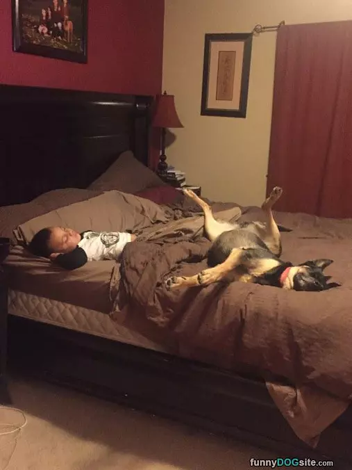 Nice Place For A Nap