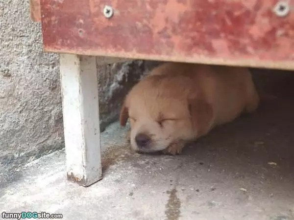 Under The Table