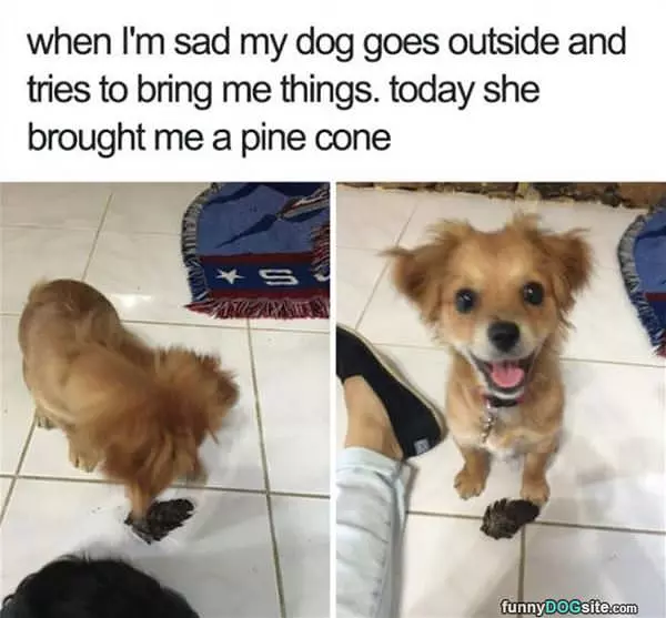 Here Is Your Gift