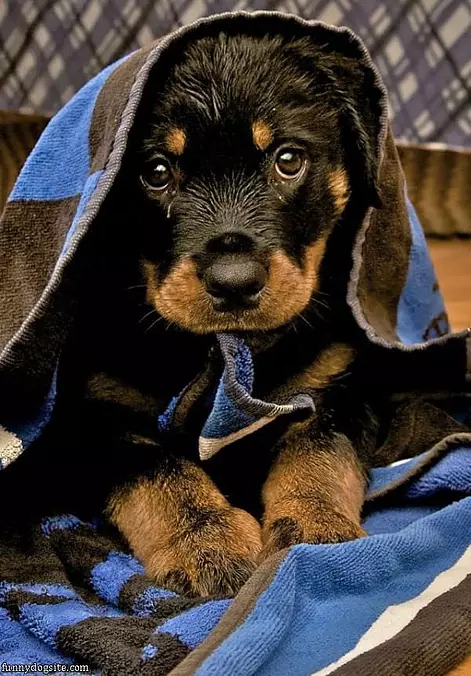 Its Cold