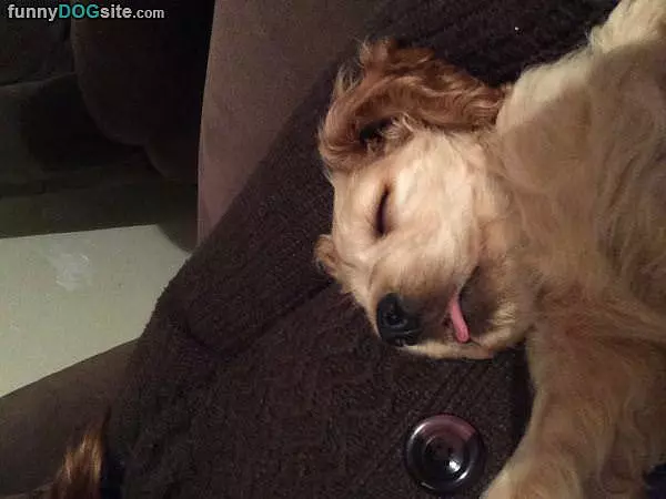 So So Sleepy