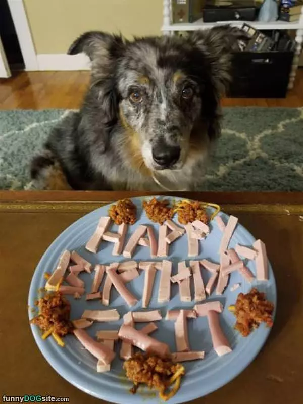 Happy Birthday Doggy