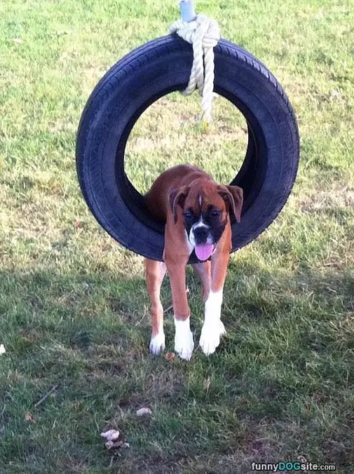 Just Hanging Around