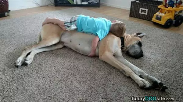Makes A Good Bed Too