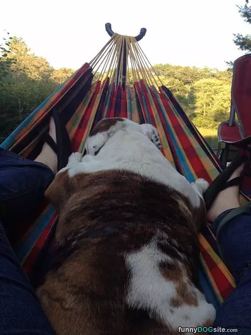 I Love This Hammock