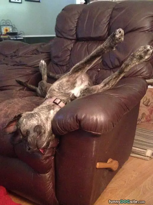 Laying On The Couch