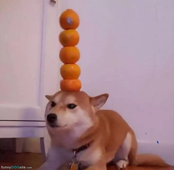 Stack Some Oranges