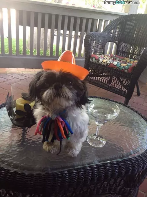 Little Hat