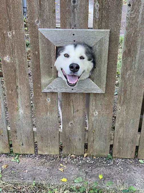 I Have A Peep Hole