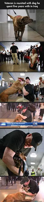 Reunited