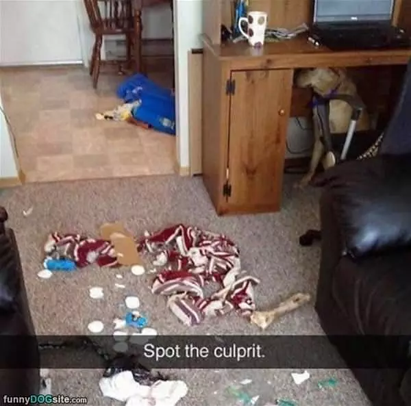 Spot The Culprit