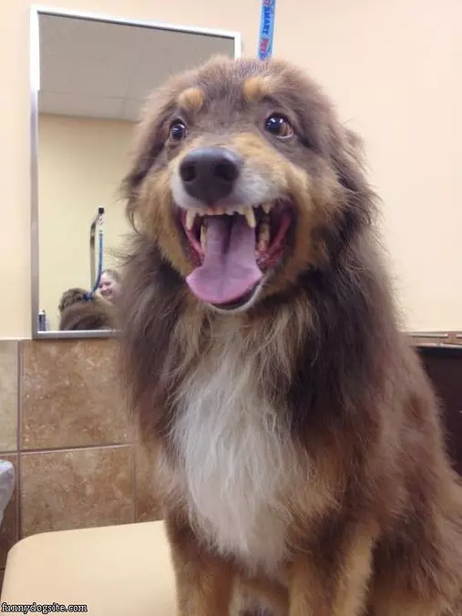 Big Smiles