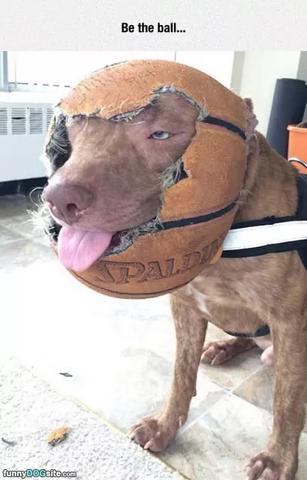 Be The Ball