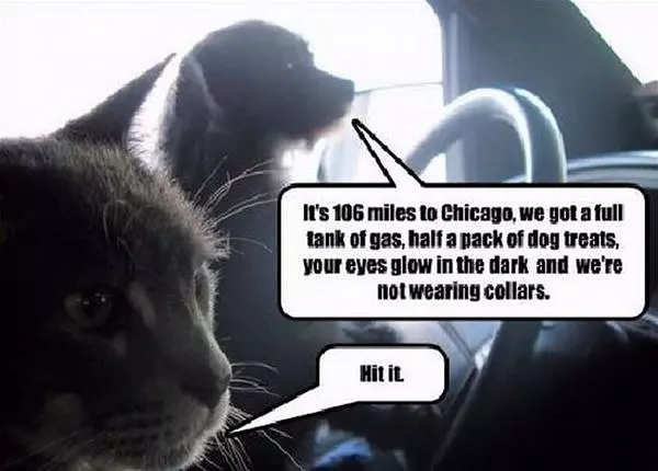Only 106 Miles