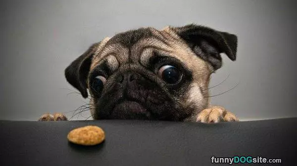 I Want This Snack