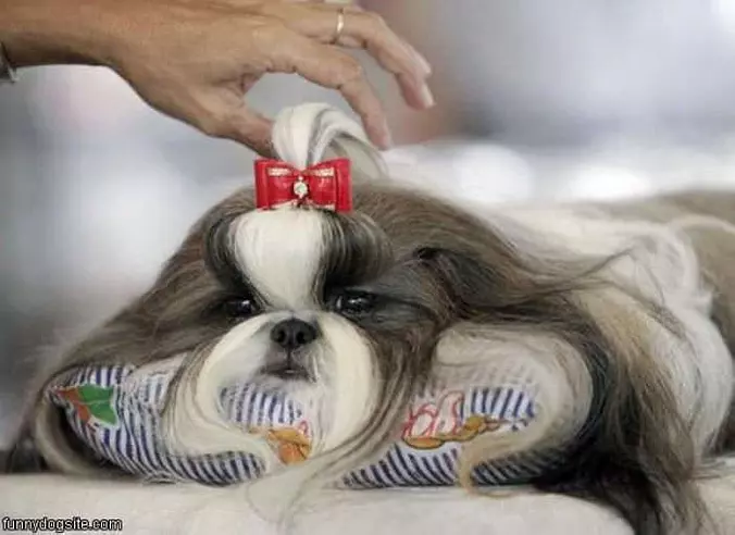 Long Hair