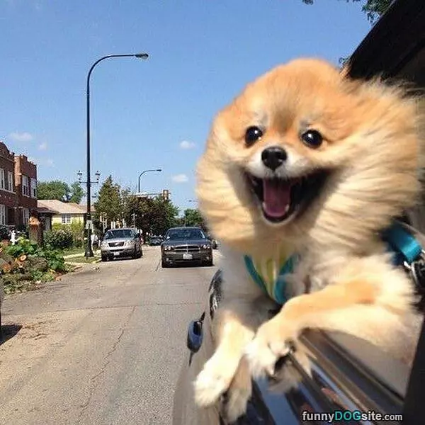 Yeaaaaaaaaaaaa