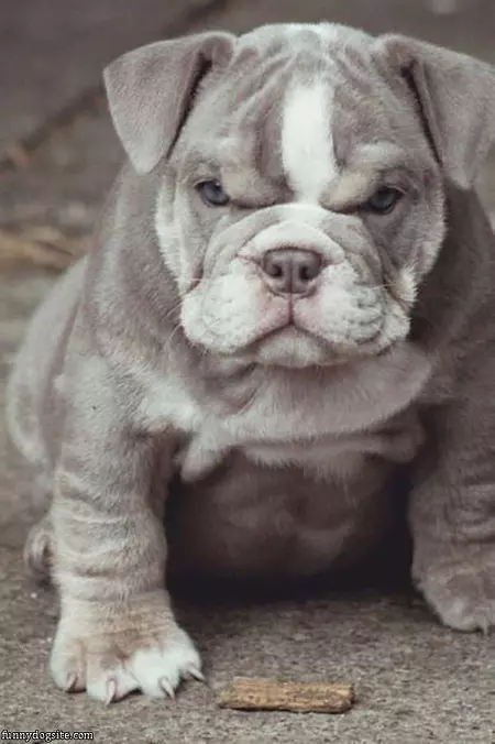 Ruffff