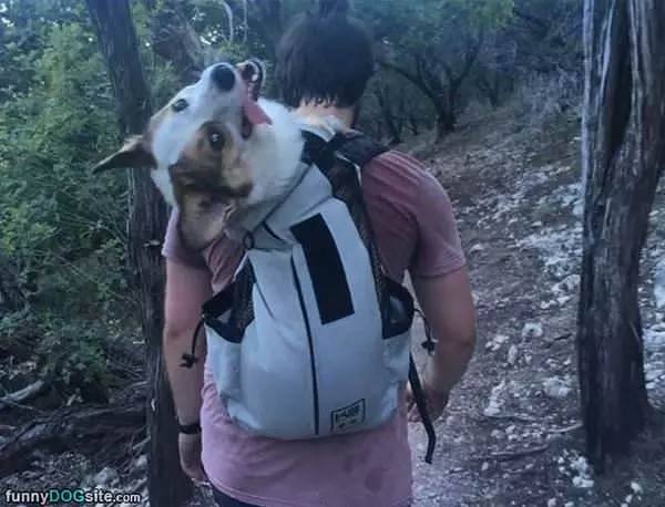 In A Backpack