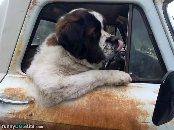 Truck Driver