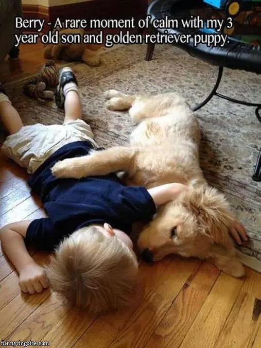 Rare Moment Of Calm