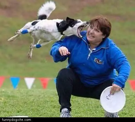 Flying Dog Bite
