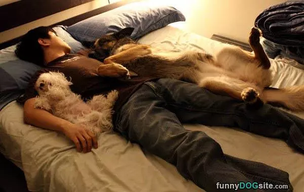 Comfrotable Bed