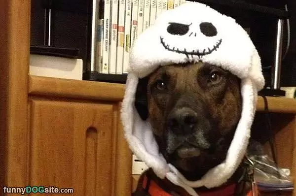 Wrapped Up Warm