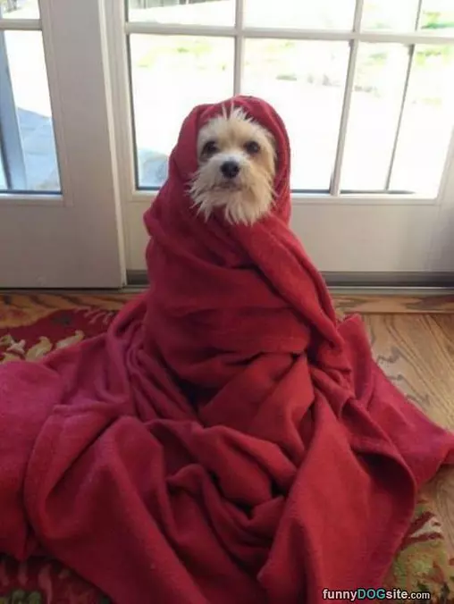 So Cold Outside