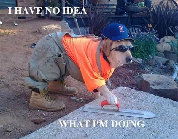 Dog Doesnt Know
