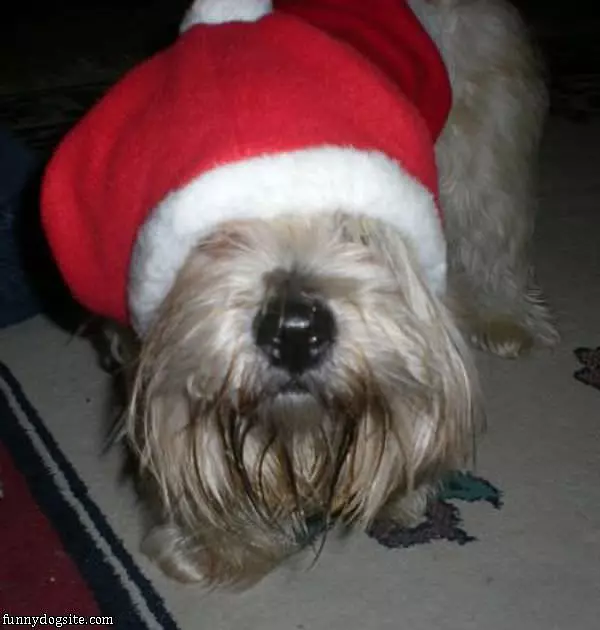 Hohoho