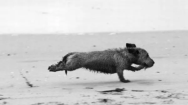 Running Fast