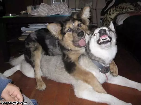 Fun Play Time