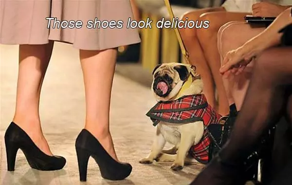 Those Shoes Look Delicious