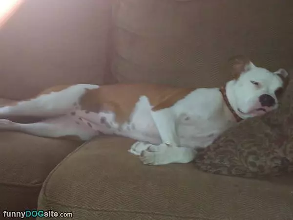 What A Great Nap