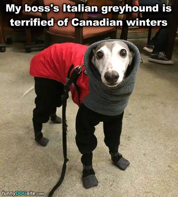 Hate Winters