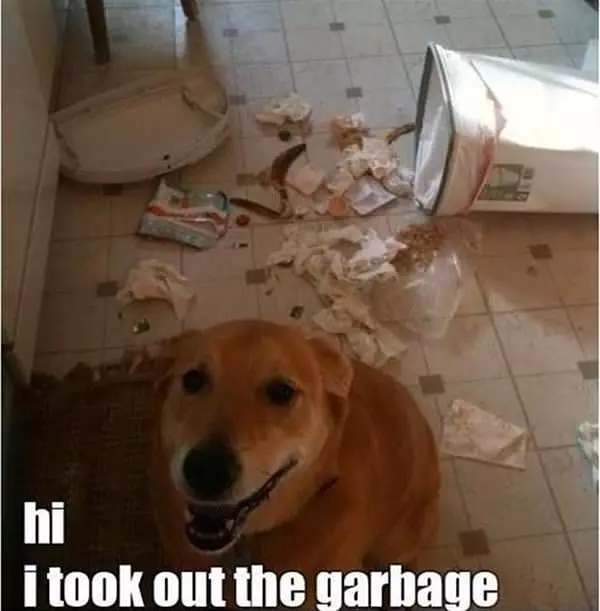 Took The Garbage Out