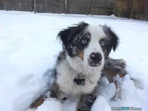 A Fun Day In The Snow