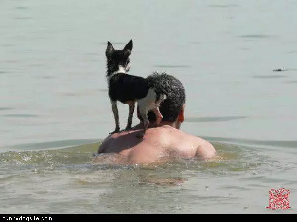 Swimming