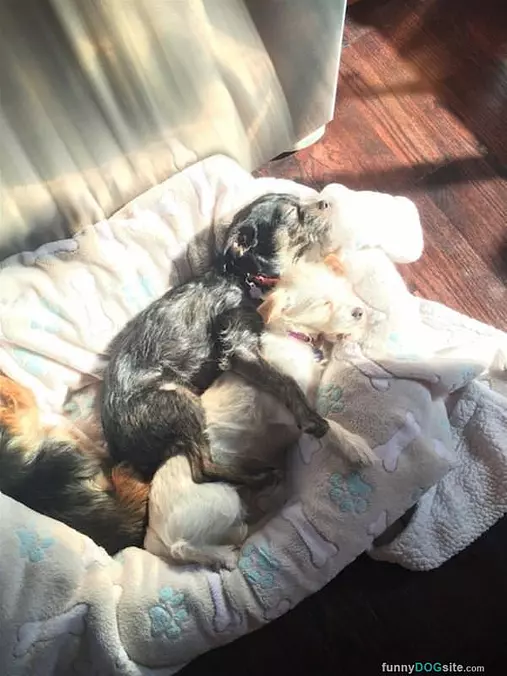 We Are Cuddling In The Sun
