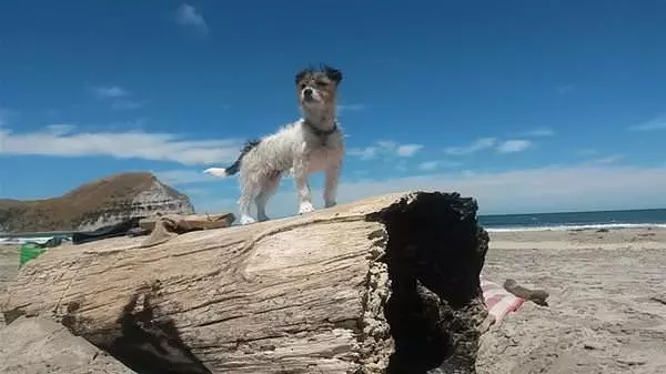 Standing Tall