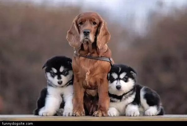 Whos The Odd One Out