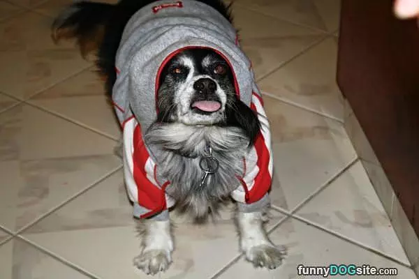 Ruffff