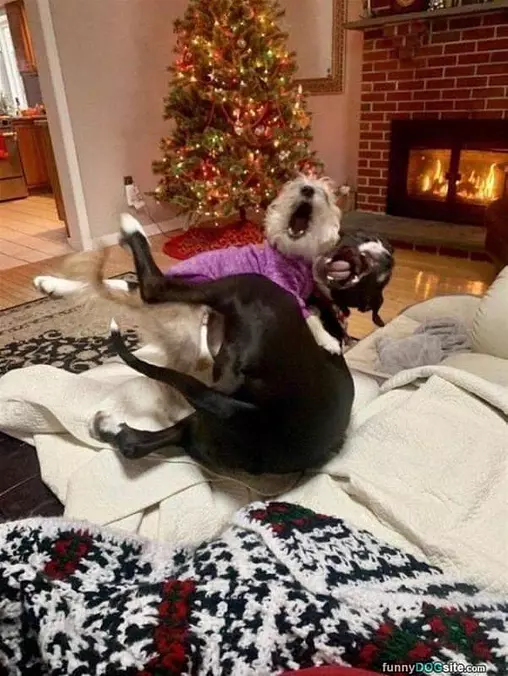 We Really Love Christmas