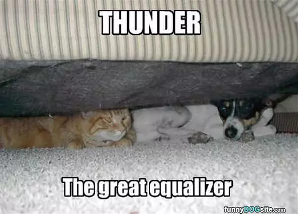 We Both Hate The Thunder
