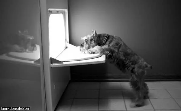 Washing Cloths