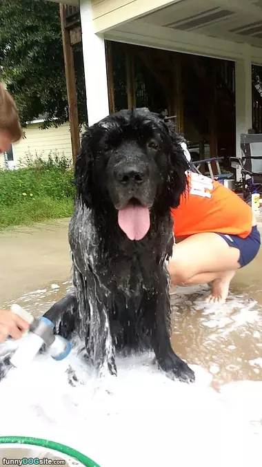 Getting A Bath