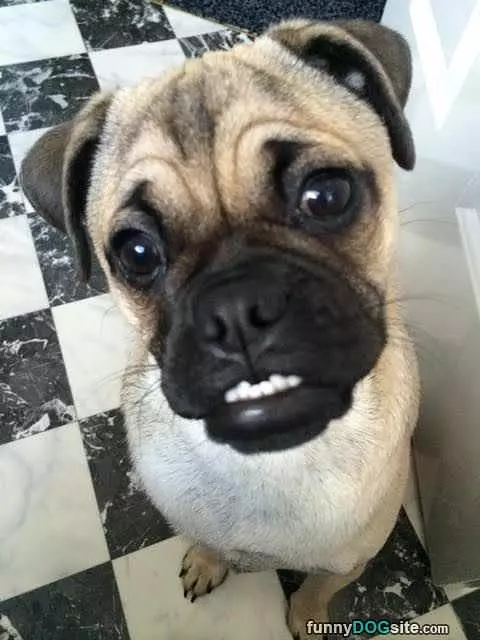 What A Cute Smile