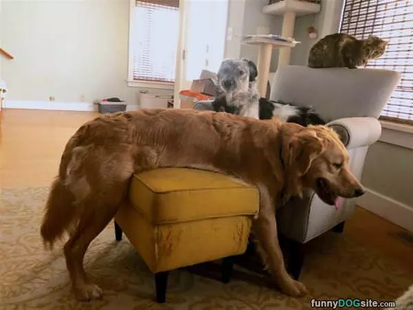 This Is Where I Like To Sit